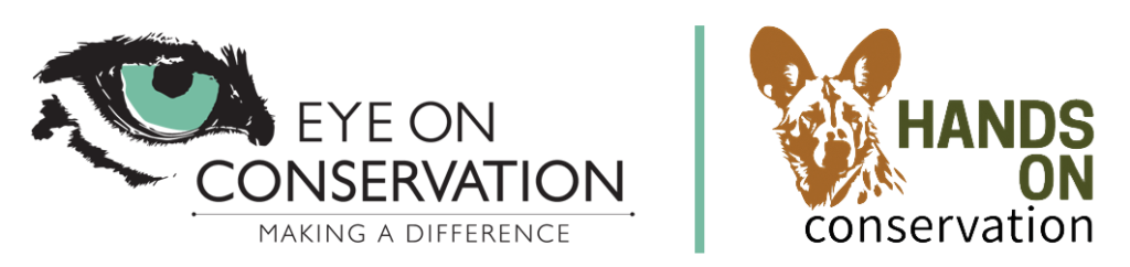 Eye On Conservation and Hands On logo